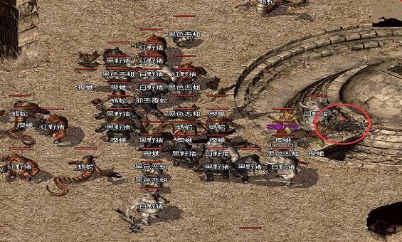 ���������䣬��Ѫ���³�